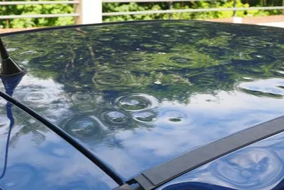 Hagenschaden Pendinelli